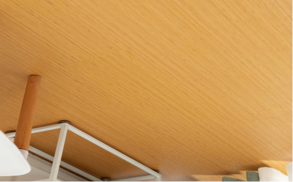 强化QJ-3601A/1219*199*12mm