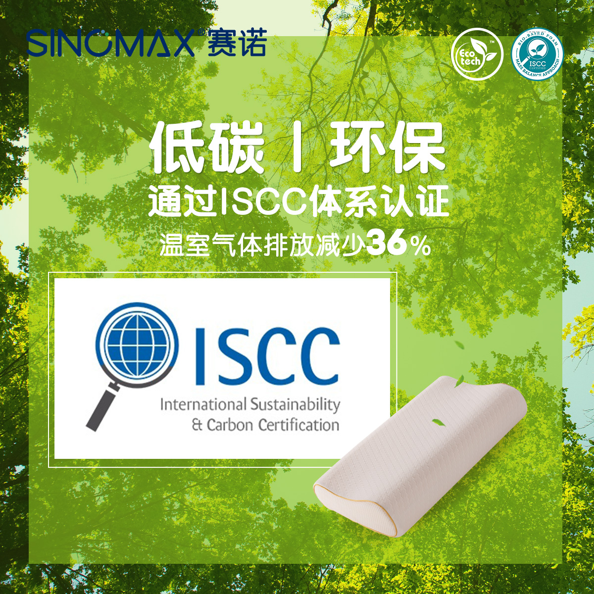 赛诺SINOMAX 造梦精灵枕（单位：个）